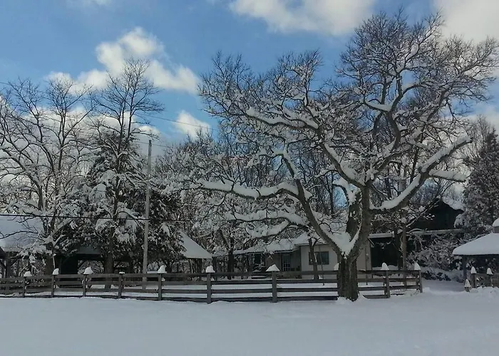 Bourbon Trail Cabin On The Farm