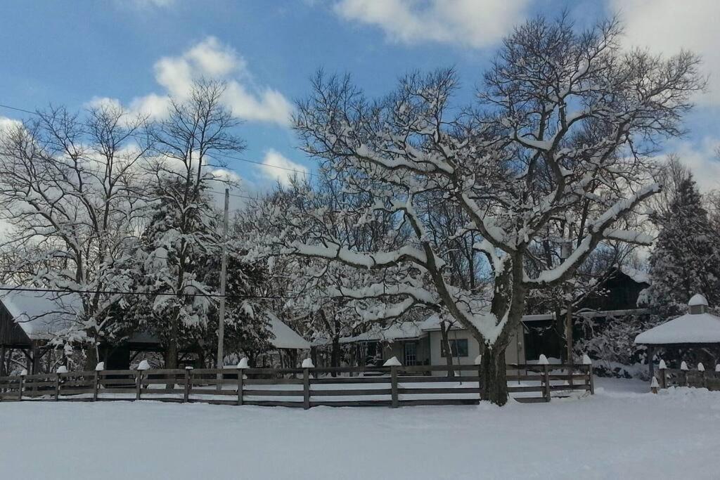 Holiday home Bourbon Trail On The Farm Lawrenceburg