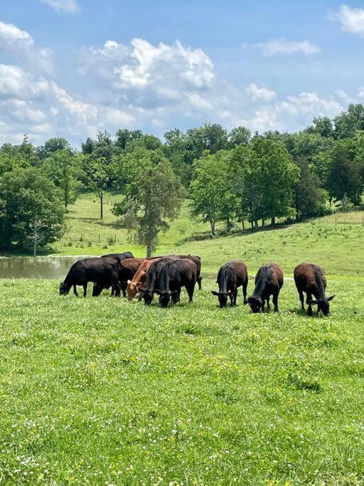 Bourbon Trail On The Farm